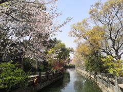 -广富林郊野公园