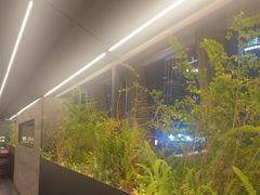 -柿合缘新京菜(国金中心商场店)