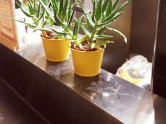 -快乐柠檬happy(衡阳步步高店)