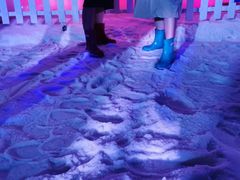 -世界之窗阿尔卑斯冰雪世界