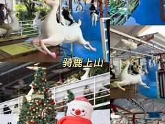 -盈香心动乐园