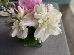 -南堂馆·新川菜(春熙路店)