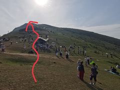 -大姆山草场