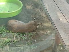 -青藏高原野生动物园