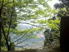 android_upload_pic-金堂县云顶石城风景区