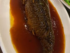 -津菜宋记老房子(鼓楼店)