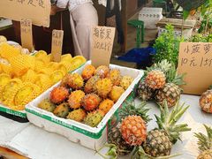 -曼丢傣家古寨