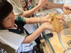 -Zoolung Zoolung动物主题公园(海信广场店)