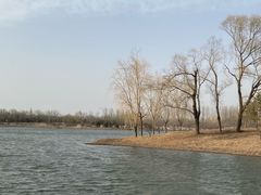 -东郊湿地公园