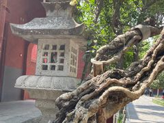 -洛阳白马寺