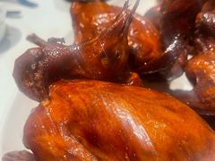 -侨美食家·40年地道粤菜(珠江新城店)