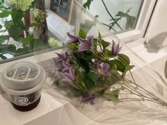 -Gigi Florist·Dk Coffee