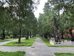 -北京市劳动人民文化宫(太庙)