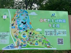 -合肥野生动物园