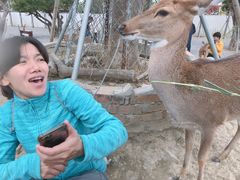 -鹿境梅花鹿生态园区