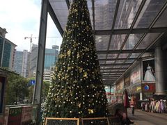 -隆基纺织