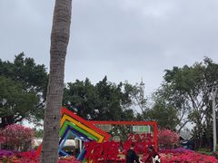 -万绿园