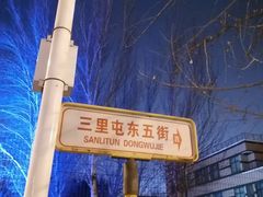 -三里屯东五街银杏大道