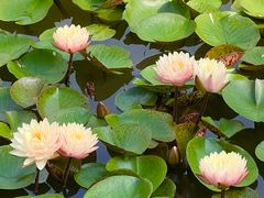 -国家植物园南园