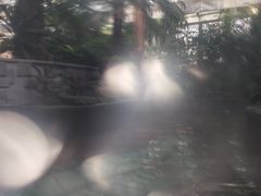 -南宫温泉水世界