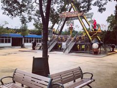 -上海海湾国家森林公园