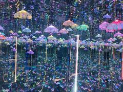 -深圳独角兽星空艺术馆