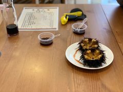 -海胆小馆(东北水饺·春柳店)