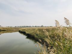 -黄沙古渡原生态旅游区