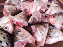 -章记正宗南岗鱼蛋火锅