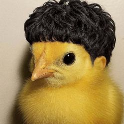 -BEAUTY HAIR GANO