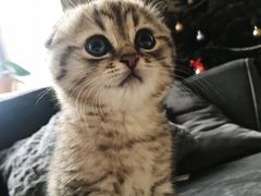 -CGV影城(梅江ScreenX店)