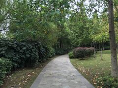 -月湖风景区