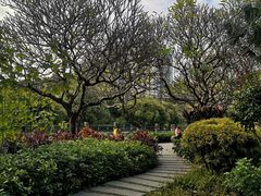 -晓港公园