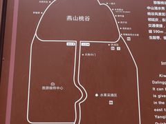 -大岭沟猕猴桃谷风景区