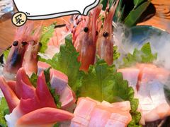 -Mr·Fish鱼鲜生海鲜放题(银泰in99店)