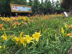 -西海子公园
