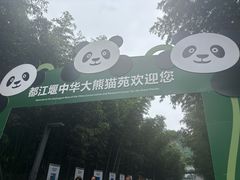 -都江堰中华大熊猫苑