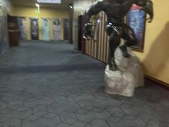 -华谊兄弟影院(IMAX洋桥店)