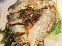 -苏大嘴蒸汽海鲜·海胆蒸饺(中山广场店)