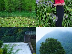 -广州市石门国家森林公园
