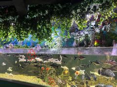 -常州海昌海洋探索馆