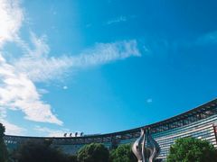 -上海中医药大学附属曙光医院(东部)