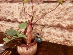 -云来居素食馆(南山店)