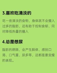 -Fundi张玉珊修身堂·indiba·BTL科技瘦身