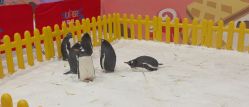 -第五极儿童乐园