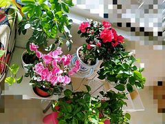 -好利来(紫竹院店)