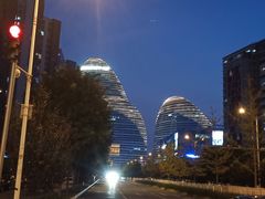 -锦尚阁烤鱼(望京新荟城店)