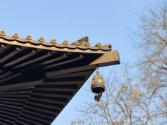 -西安大兴善寺