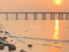 -宝安西湾红树林湿地公园