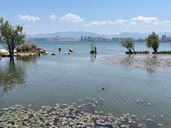 -洱海月湿地公园